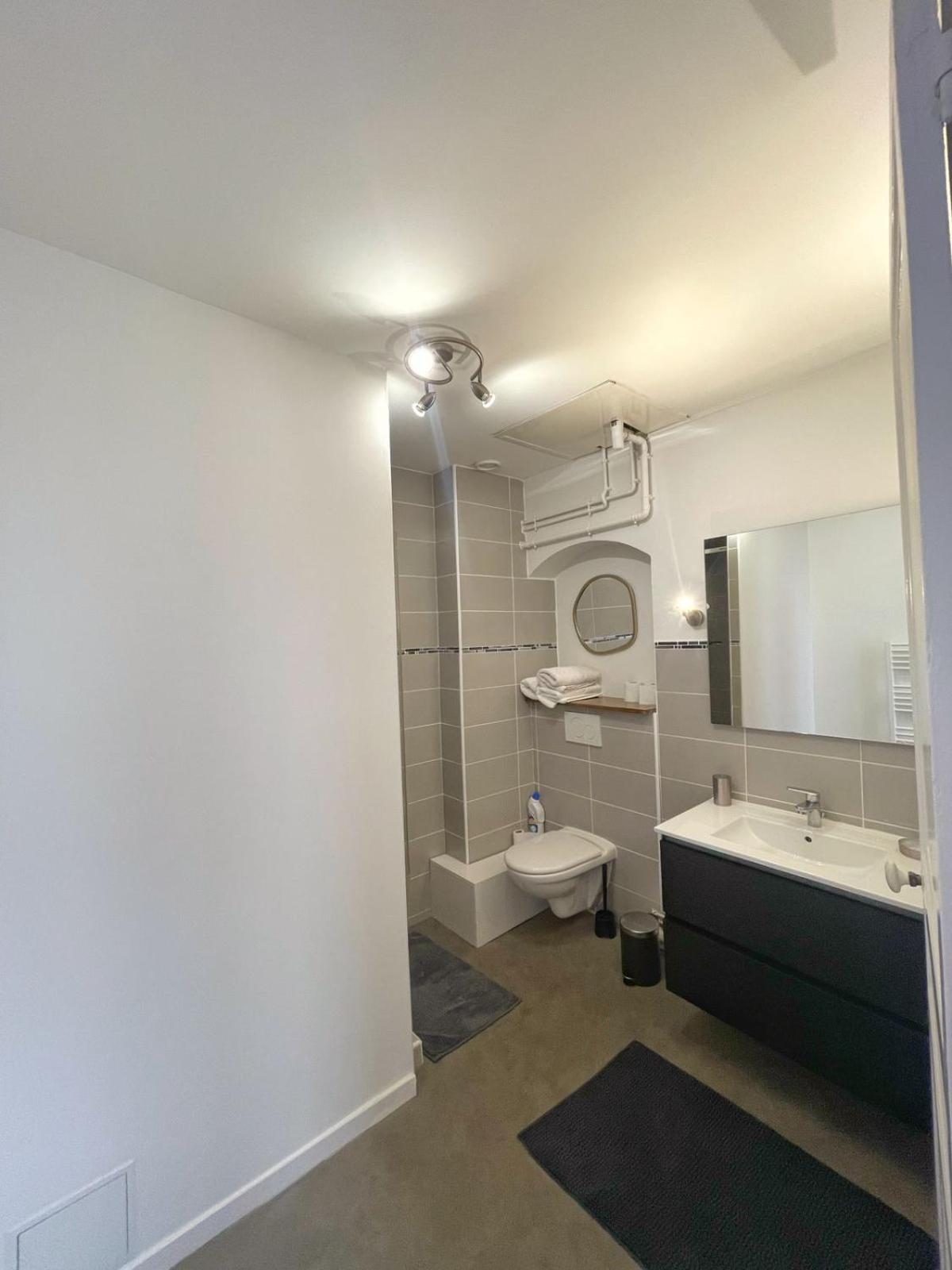 Center Macon Charmant Appartement Avec Vue Sur La Saone Εξωτερικό φωτογραφία