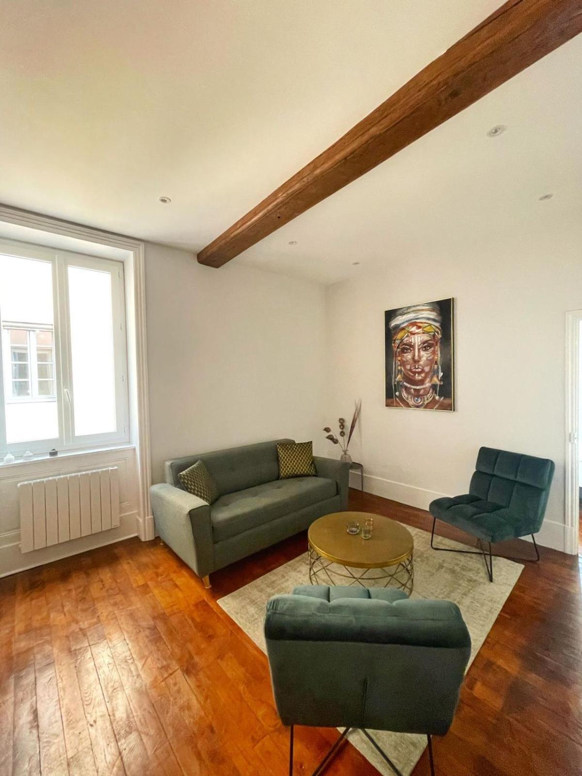 Center Macon Charmant Appartement Avec Vue Sur La Saone Εξωτερικό φωτογραφία