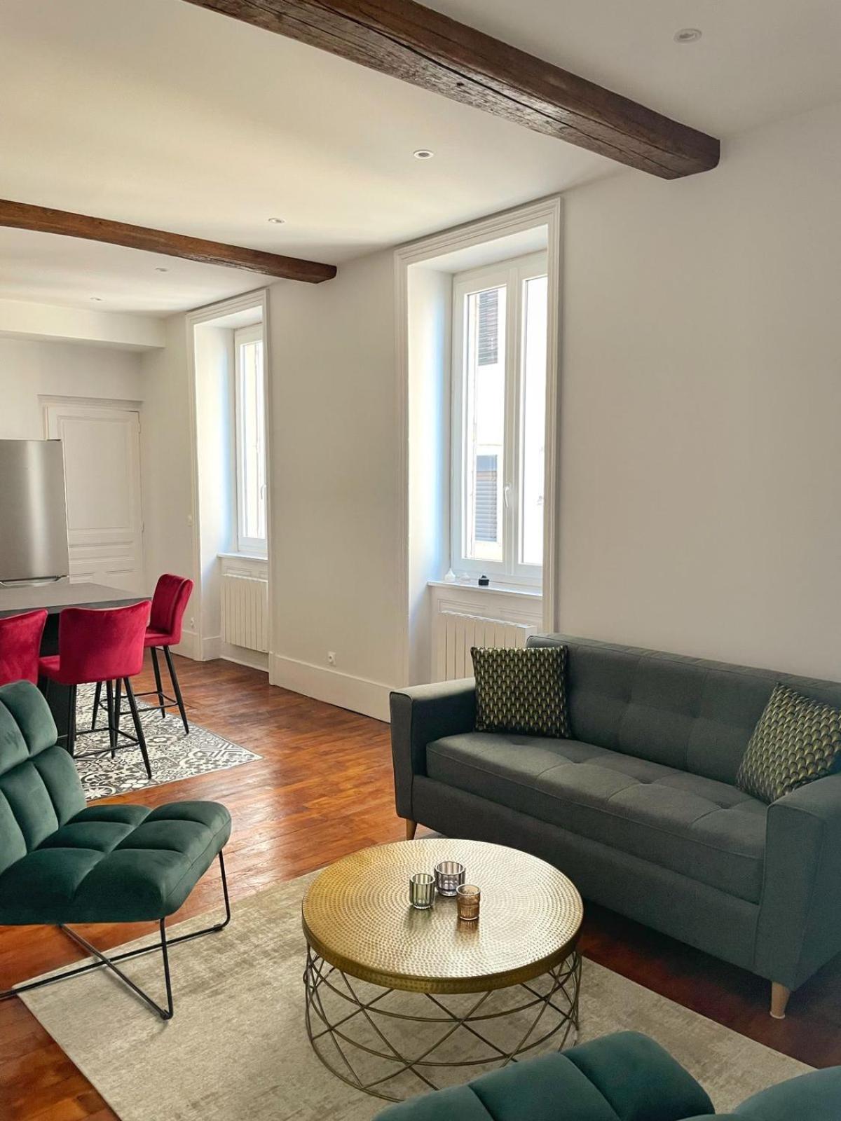 Center Macon Charmant Appartement Avec Vue Sur La Saone Εξωτερικό φωτογραφία