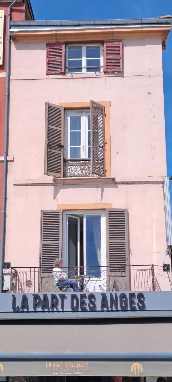 Center Macon Charmant Appartement Avec Vue Sur La Saone Εξωτερικό φωτογραφία